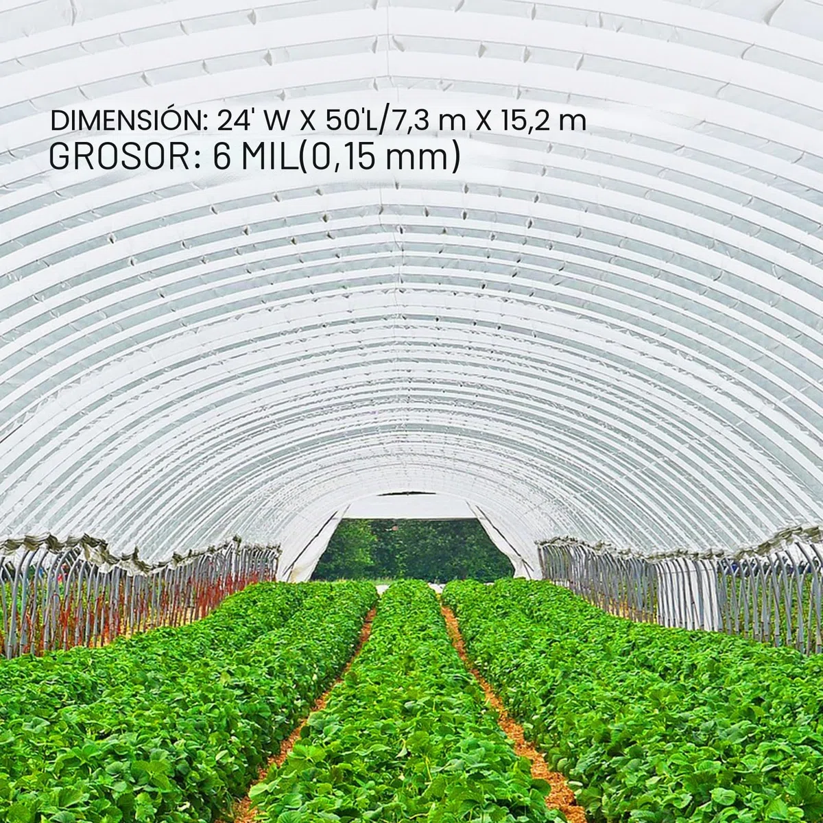 VEVOR Película de Invernadero de Polietileno, 7,3 m de Largo x 15,2 m de Ancho, Transparente, túnel de 0,15 mm de Grosor, láminas de Polietileno Resistentes al desgarro como láminas de plástico para