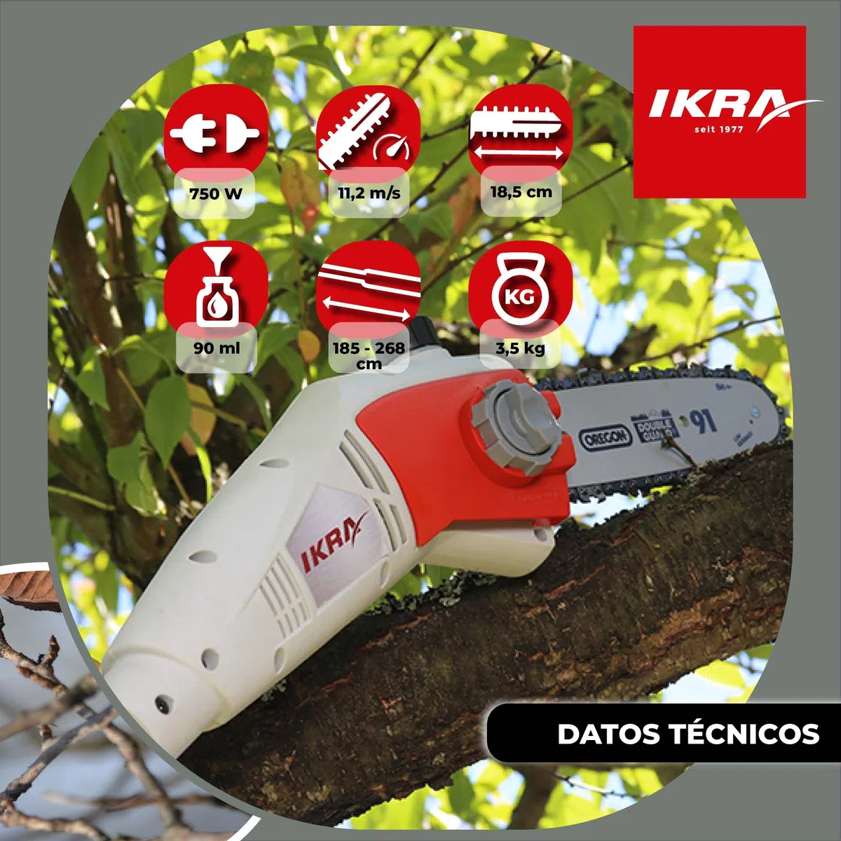 IKRA podadora de altura sierra telescópica eléctrica IEAS 750, alcance 4m, incl. correa de hombro, lima & escudo protector