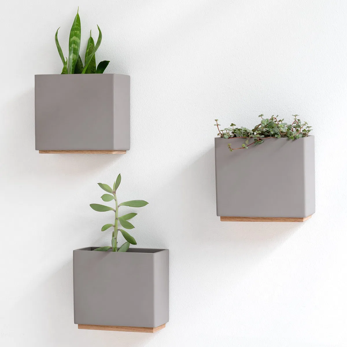 Kazai. Jardineras de Pared -Alma- | 3 Macetas Colgantes Modernas de Resina | Set de Porta Plantas para Plantas de Interior, Plantas Artificiales y más | Gris Pardo