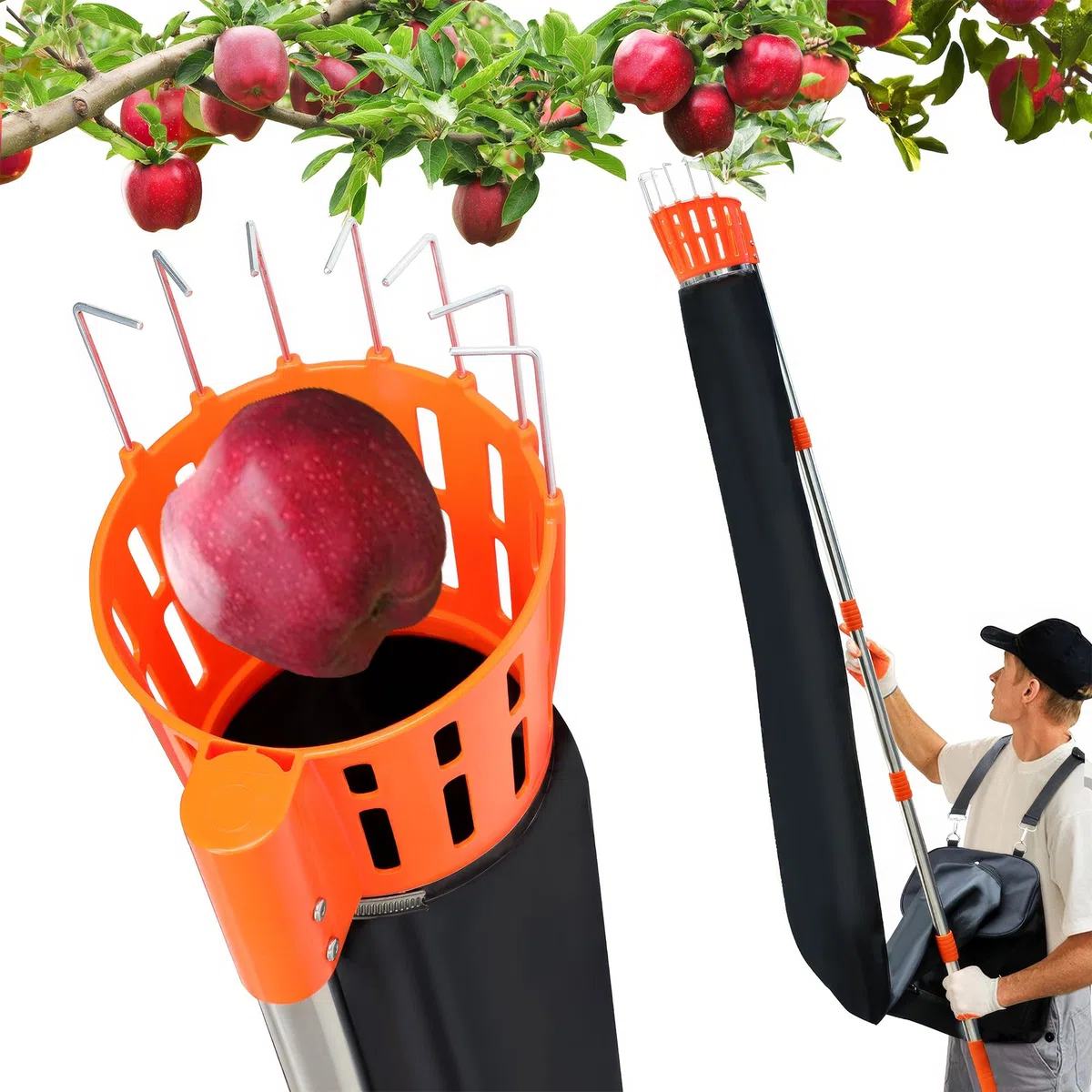 BOUDECH Pamatik – Recolector de frutas con embudo con mango telescópico de 4 m con soporte y bolsa de tela para recoger manzanas, naranjas, peras naranja y negro