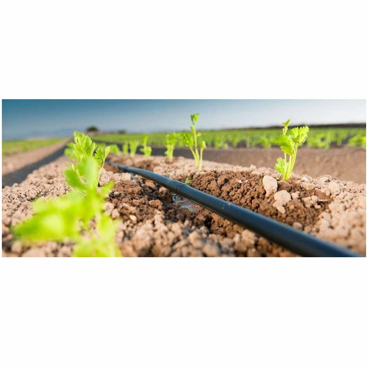 Suinga Tuberia de Riego por Goteo 16 mm | Manguera riego por goteo cada 33 cm, tubo goteo de 100 metros | Kit riego por goteo negro para Jardines, Terrazas, Huertos y Macetas