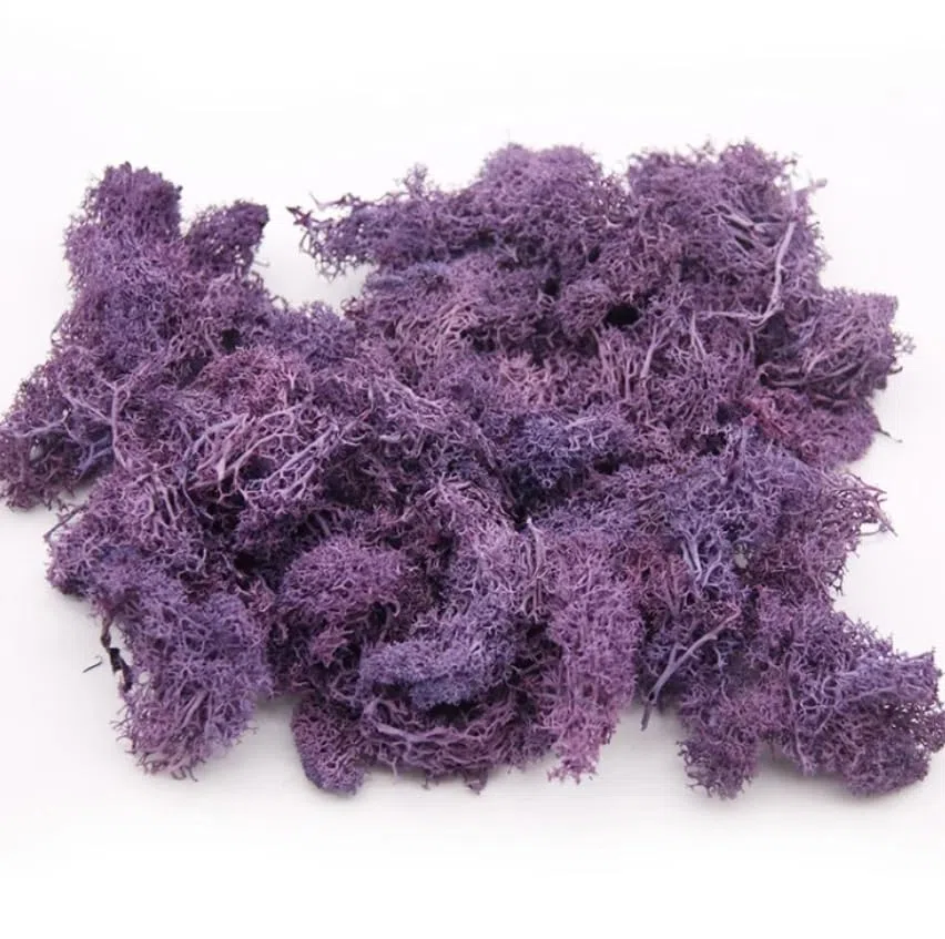 Musgo Morado o Lila - 500gr - Musgo Preservado y Natural para el Hogar o la Oficina