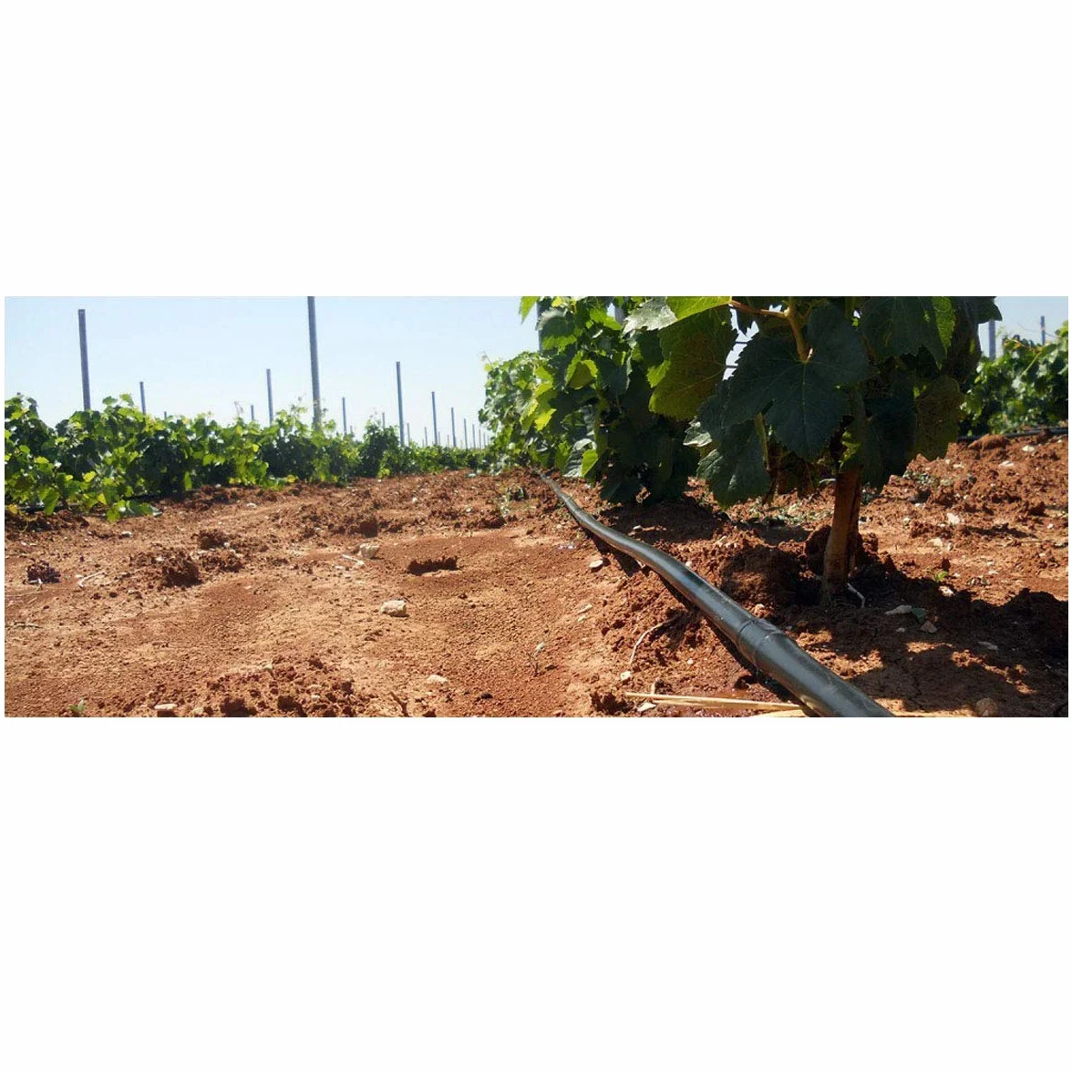 Suinga Tuberia de Riego por Goteo 16 mm | Manguera riego por goteo cada 33 cm, tubo goteo de 100 metros | Kit riego por goteo negro para Jardines, Terrazas, Huertos y Macetas