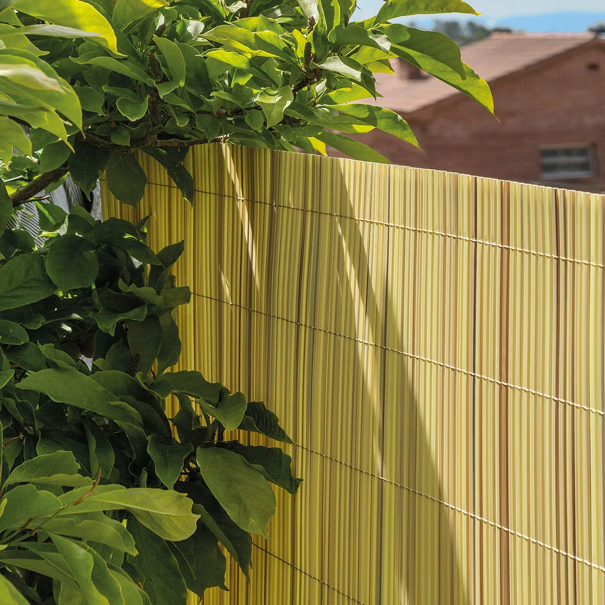 TENAX Colorado 1,00x5 m Natural, Cañizo Artificial en PVC con Cañas Enteras de 7 mm, Ocultación para Jardines, Piscinas y Zonas Privadas