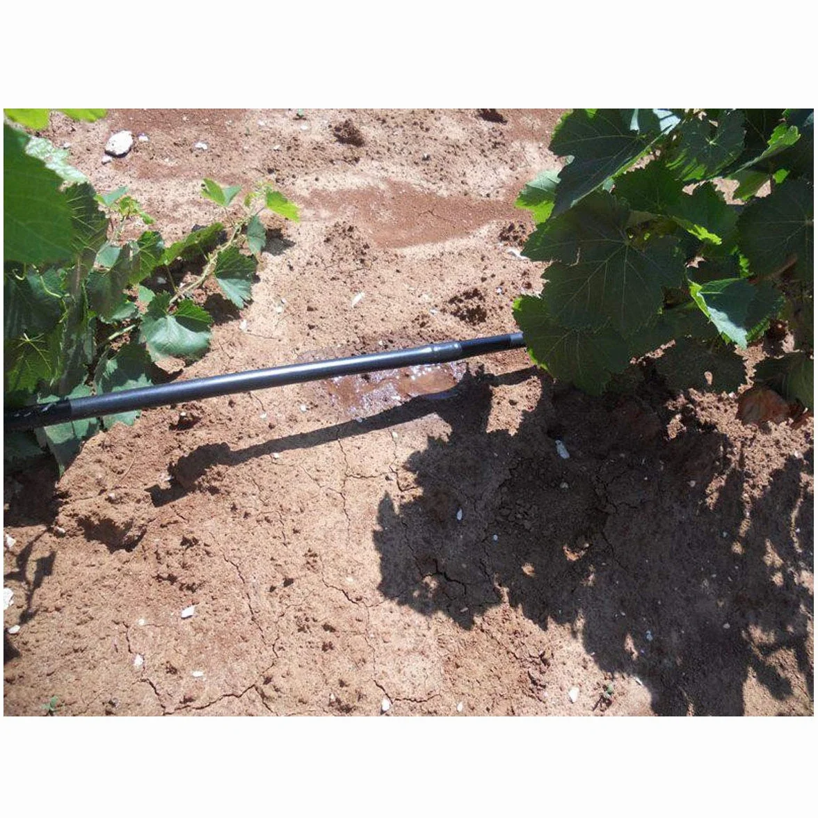 Suinga Tuberia de Riego por Goteo 16 mm | Manguera riego por goteo cada 33 cm, tubo goteo de 100 metros | Kit riego por goteo negro para Jardines, Terrazas, Huertos y Macetas