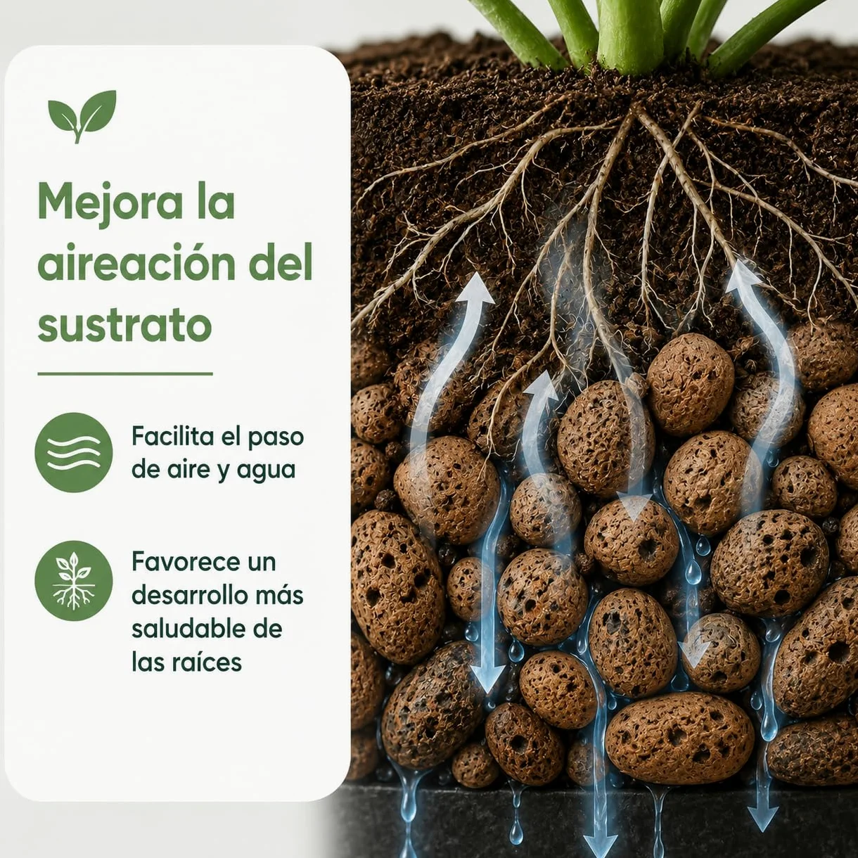 Flornatur Arlita Expandida para Plantas | Bolitas para Macetas y Jardines| Arlita para Drenaje | Forma de Bolas | Tierra Húmeda para Suelo (2 Sacos 50 litros)