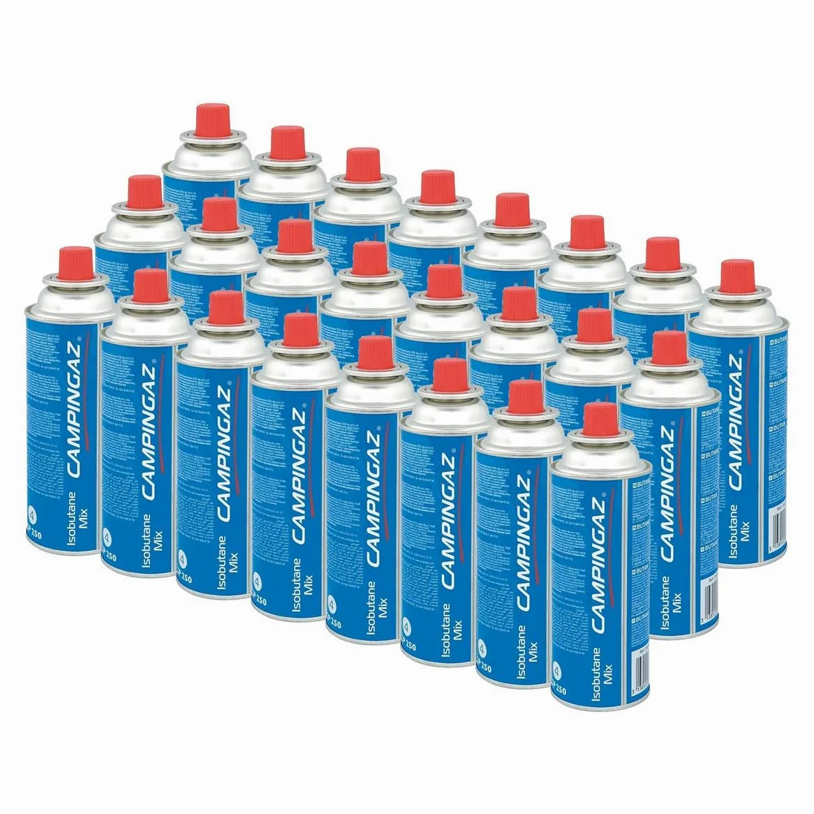 Campingaz Paquete de 24 Cartuchos de Gas con válvula CP 250, para Estufas de Camping Camp Bistro y Festivo, Recipiente Compacto y resellable