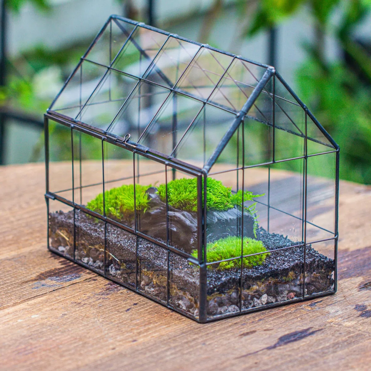 NCYP Terrario geométrico de Vidrio con Puerta de Apertura Frontal, Forma de casa Cerrada, macetero de micropaisaje para suculentas pequeñas (Solo terrario, sin Plantas)