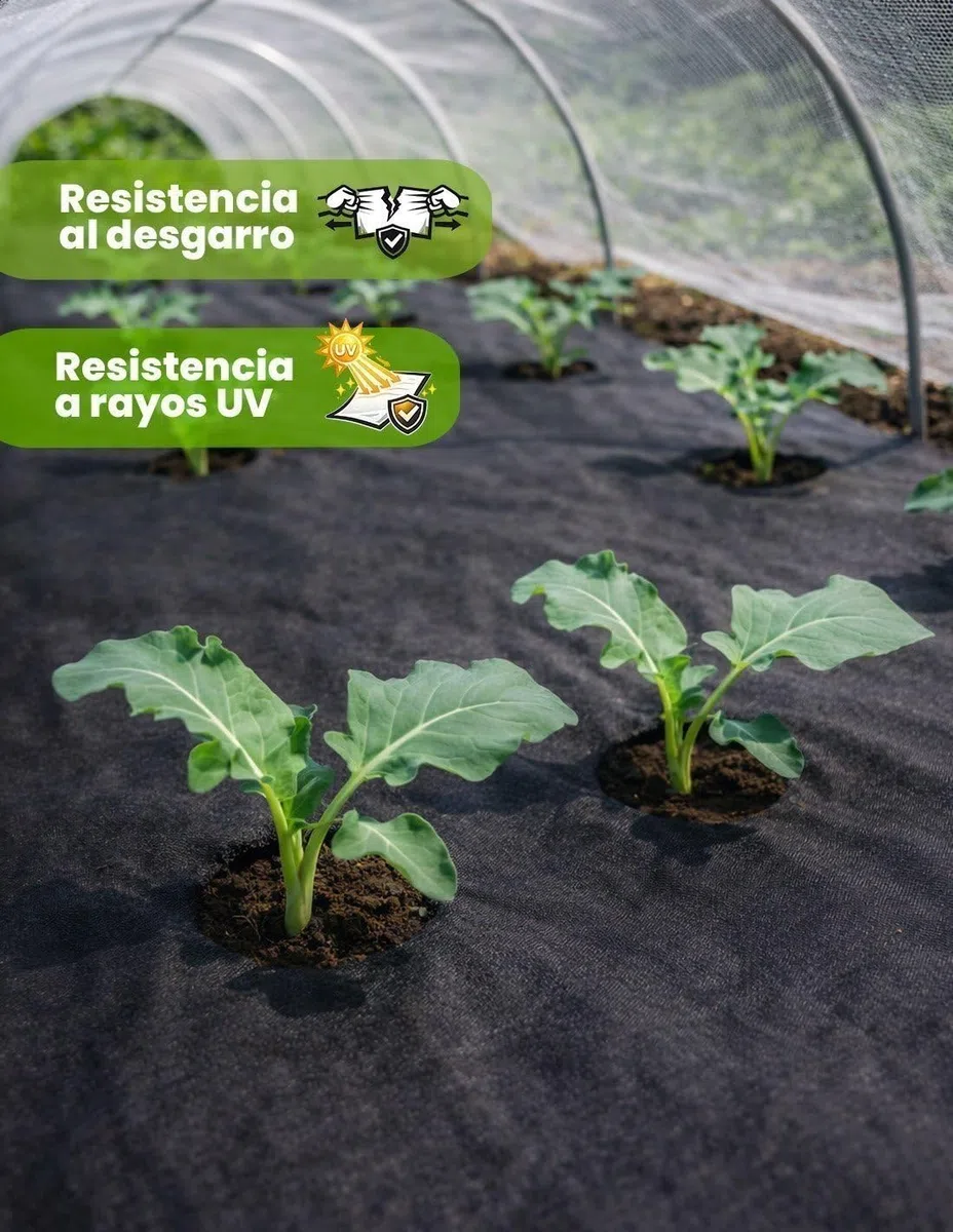 JARDIN202 - Malla Geotextil Antihierbas 105 gr/m² Eco-Resistente - Protección UV para Jardín y Huerto | Resistente al desgarro | 1,50x50 m (75m2) (Negro)