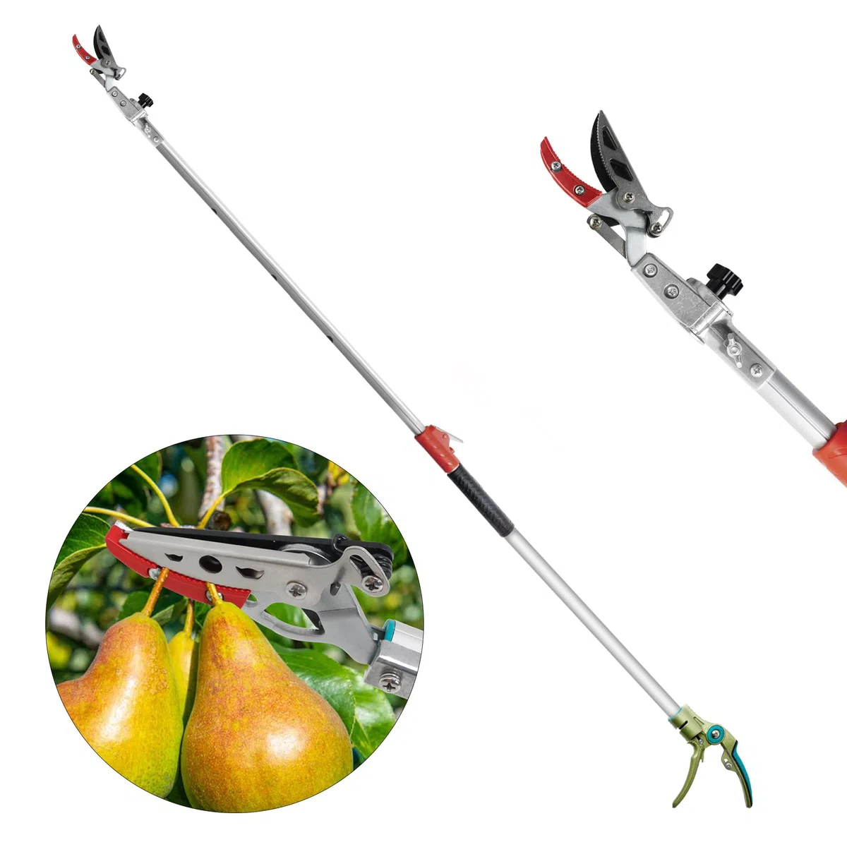 FLORA GUARD tijeras de podar telescópicas, 1,6-2,5 m, ligeras y robustas, recogedoras de frutas con cabezal de cuchilla pivotante, mango de aluminio ligero y telescópico, aptas para podar ramas.