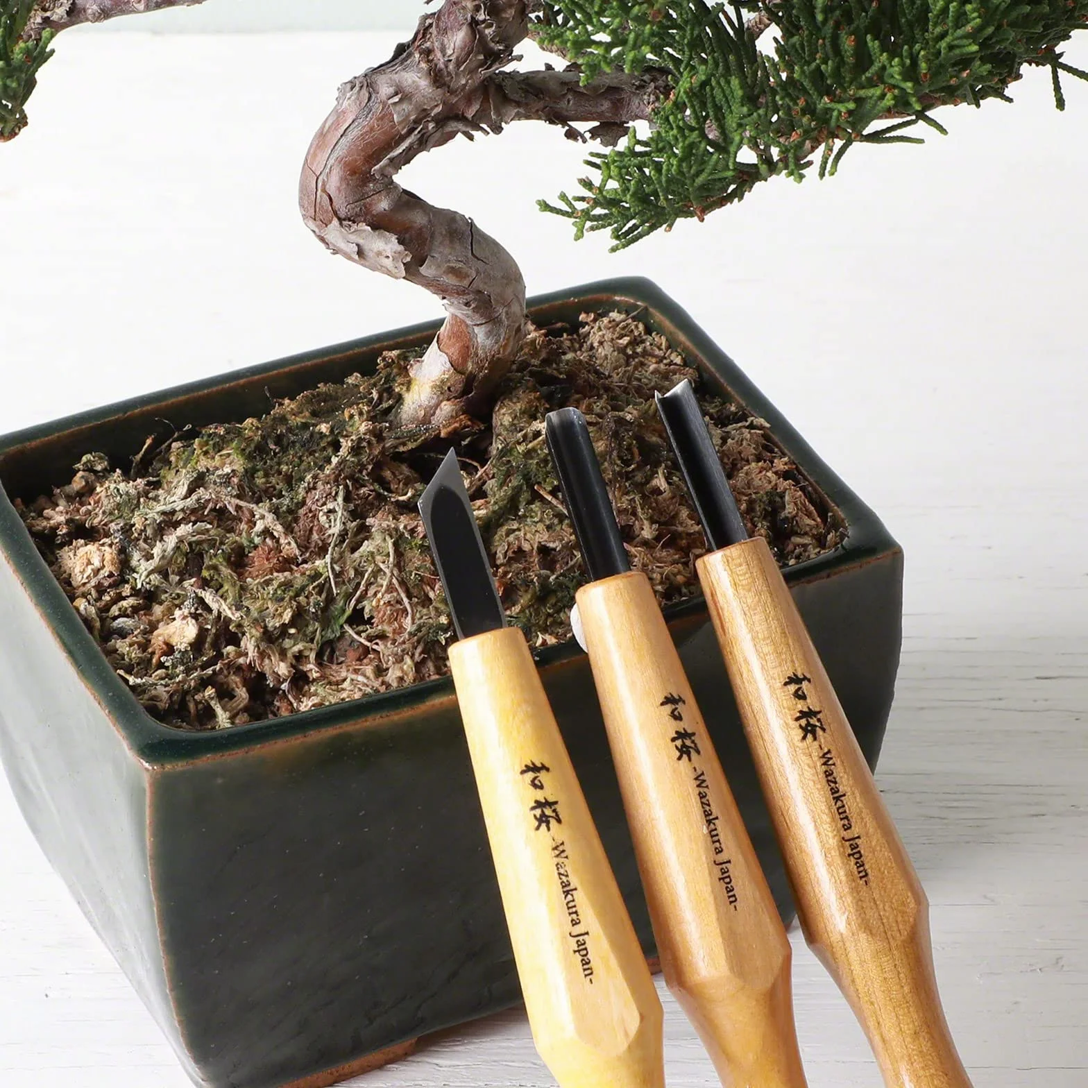 Wazakura Bonsai Jin y Shari Kit de herramientas de creación con cincel hueco redondo, cincel oblicuo individual y herramienta de corte en V, carpintería (kit de 3 piezas para bonsái Jin y Shari)