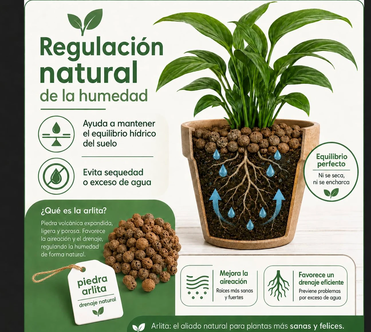 Flornatur Arlita Expandida para Plantas | Bolitas para Macetas y Jardines| Arlita para Drenaje | Forma de Bolas | Tierra Húmeda para Suelo (2 Sacos 50 litros)