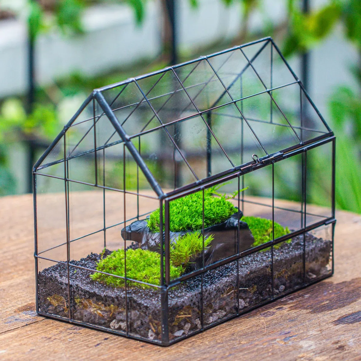 NCYP Terrario geométrico de Vidrio con Puerta de Apertura Frontal, Forma de casa Cerrada, macetero de micropaisaje para suculentas pequeñas (Solo terrario, sin Plantas)