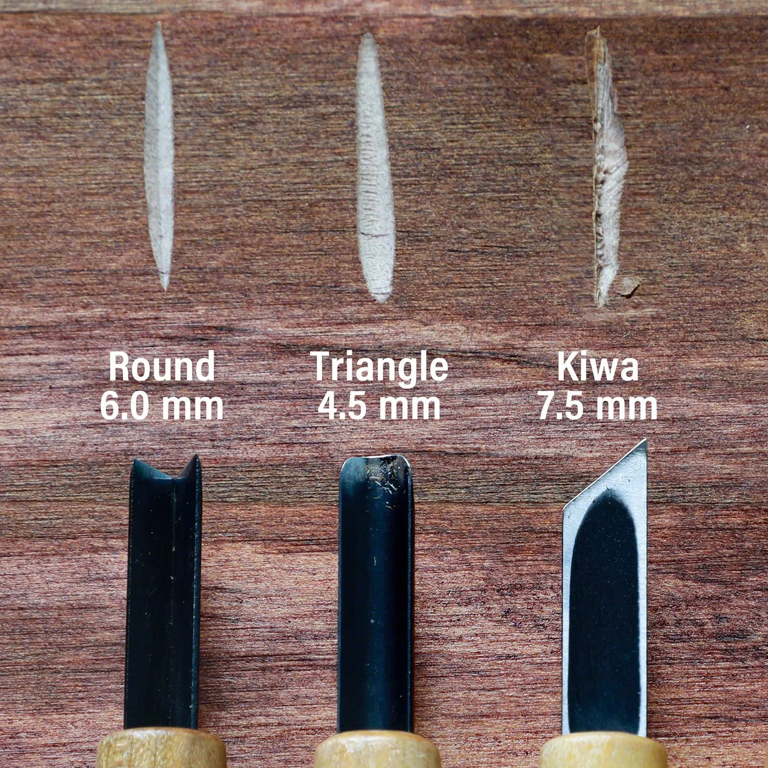 Wazakura Bonsai Jin y Shari Kit de herramientas de creación con cincel hueco redondo, cincel oblicuo individual y herramienta de corte en V, carpintería (kit de 3 piezas para bonsái Jin y Shari)