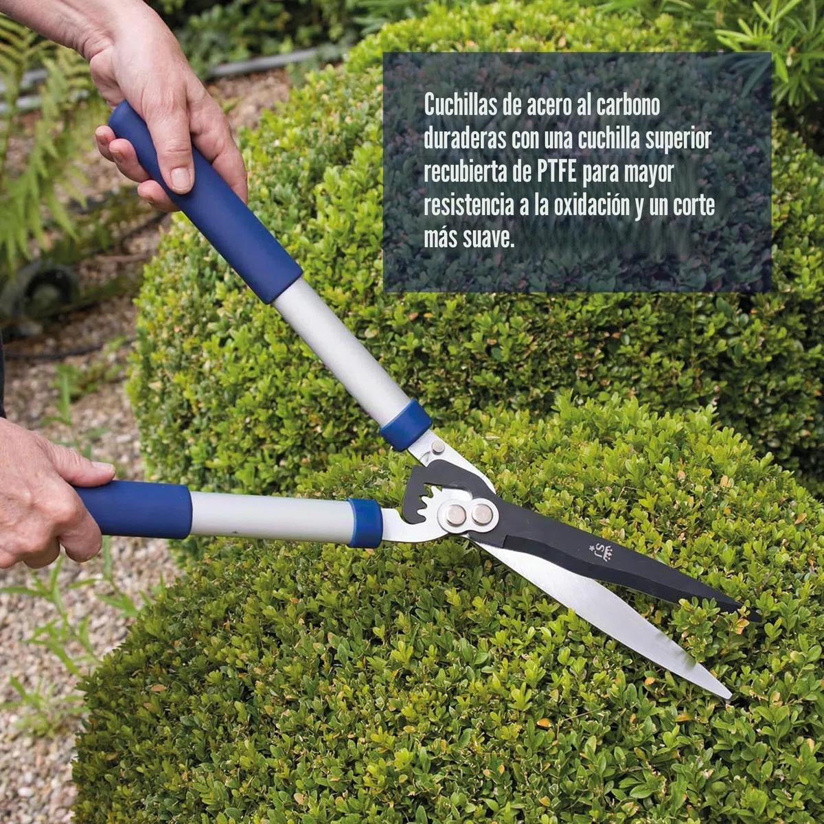 Spear & Jackson 8170RS Tijera de seto con Engranajes Razorsharp