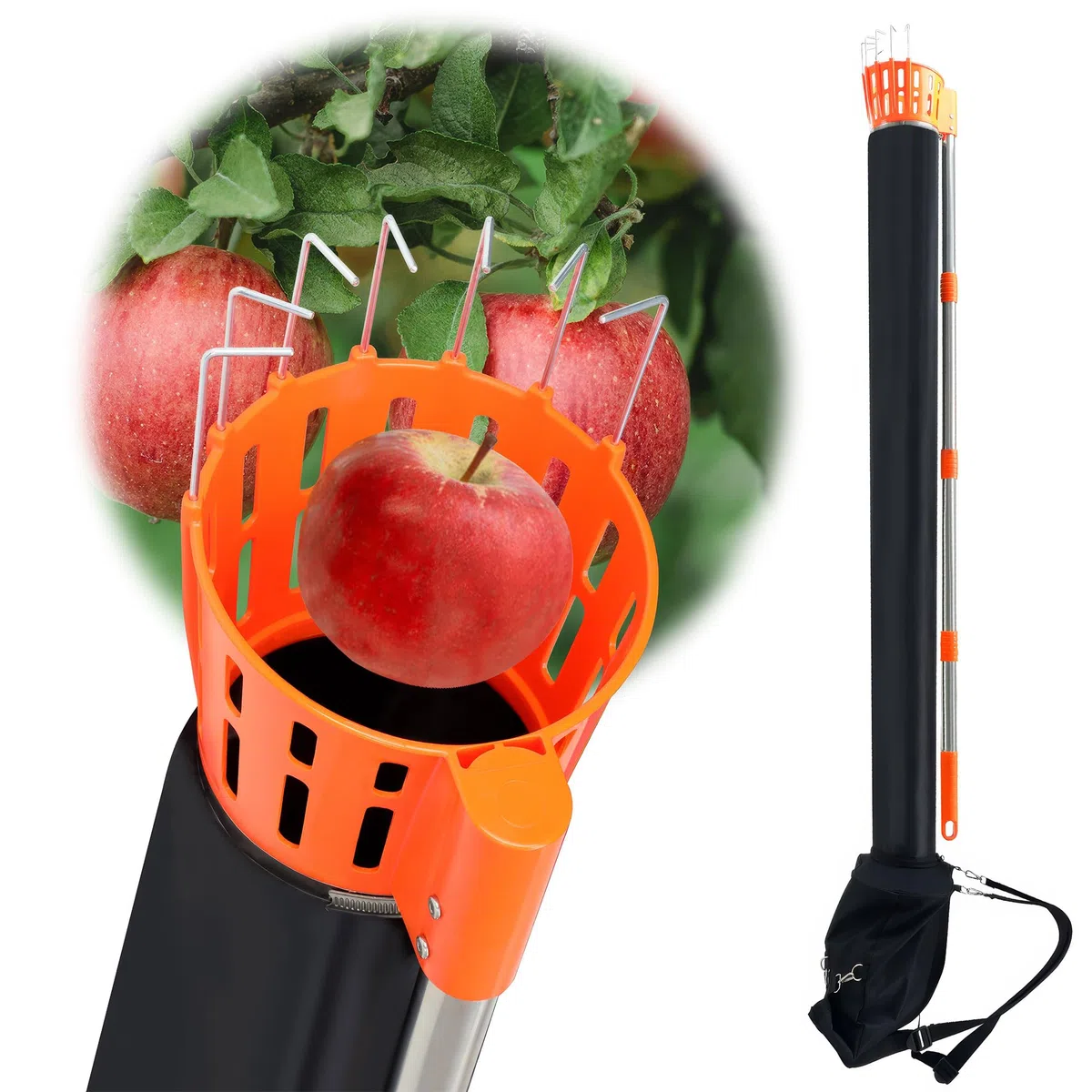 BOUDECH Pamatik – Recolector de frutas con embudo con mango telescópico de 4 m con soporte y bolsa de tela para recoger manzanas, naranjas, peras naranja y negro